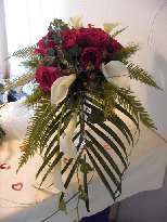 Click to see 348_PDR_0301.jpg